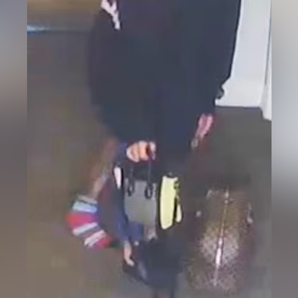 CELINE Handbag Nano Shopper - Picture 9 of 9